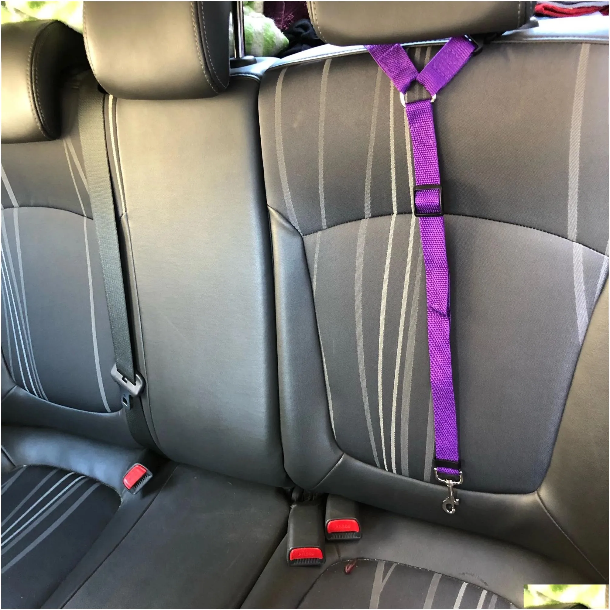 pet car rope ring dog car belt rear seat traction belt traction rope