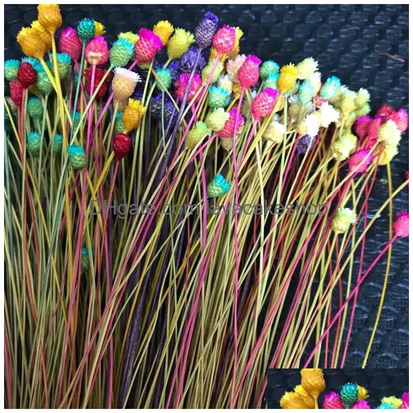 300pcs/ 0.3cm head real dried natural mini happy flower branch miniature dry flowers bouquet for diy resin jewellery home decor f1217