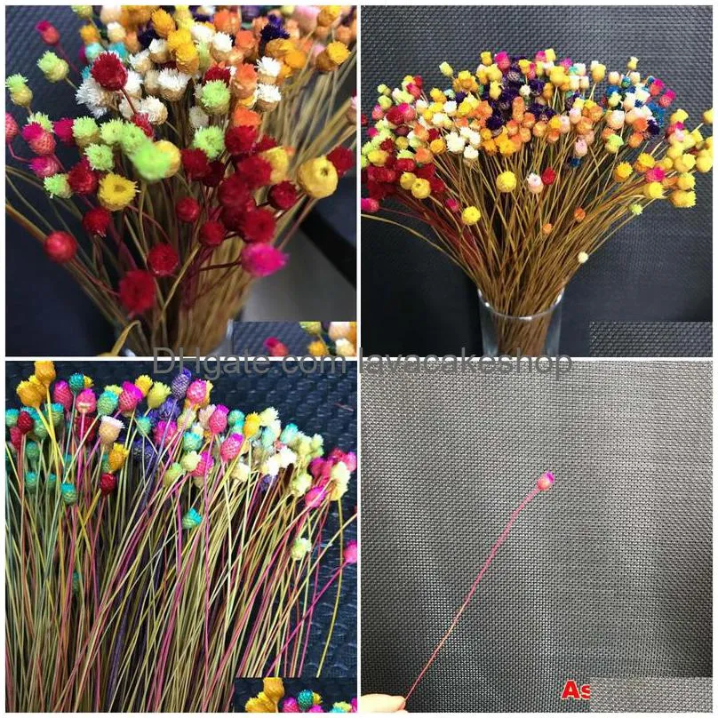 300pcs/ 0.3cm head real dried natural mini happy flower branch miniature dry flowers bouquet for diy resin jewellery home decor f1217