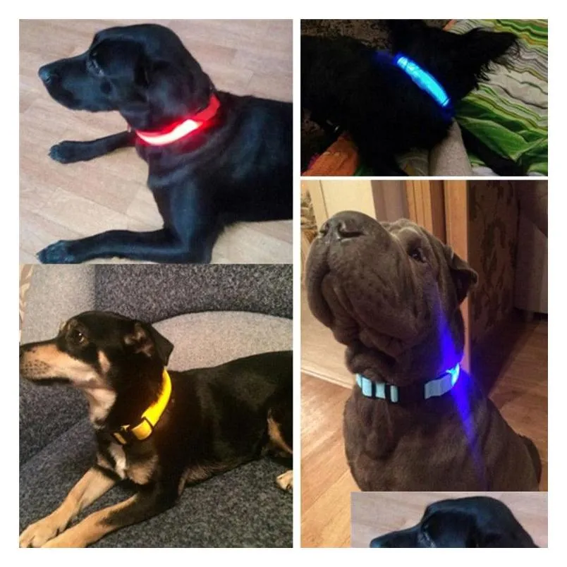 nylon led dog collars night walking safety flashing glow in the dark leash luminous fluorescent collar pet supplies for small medium large