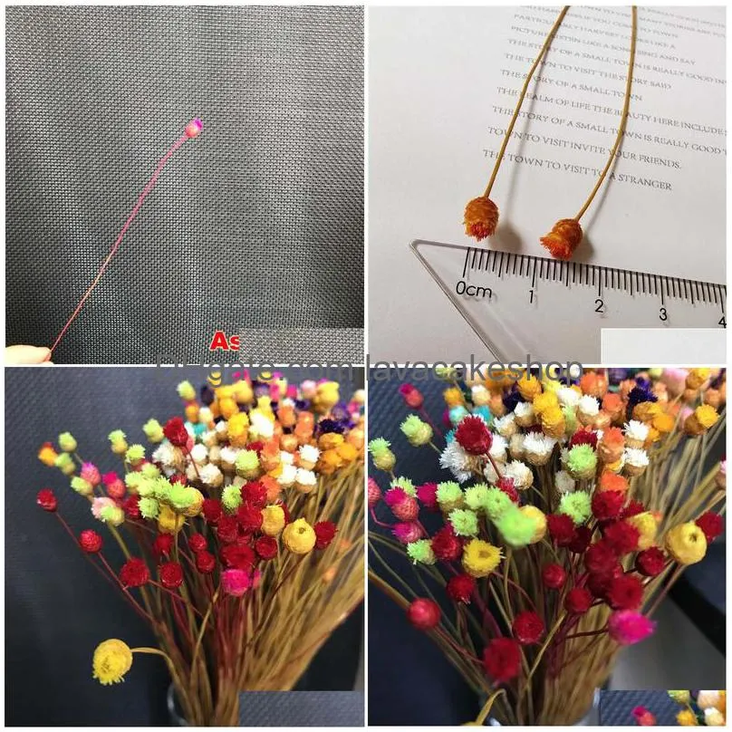 300pcs/ 0.3cm head real dried natural mini happy flower branch miniature dry flowers bouquet for diy resin jewellery home decor f1217