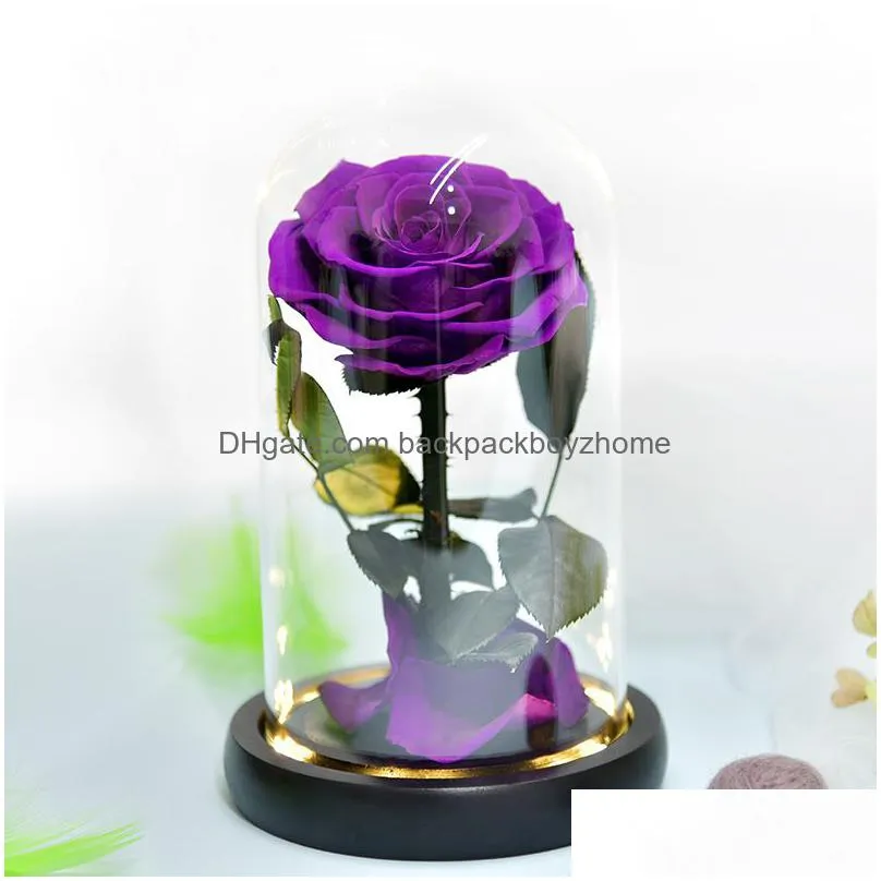 forever rose in glass dome on wood base with warm light valentines day anniversary birthday rose gift