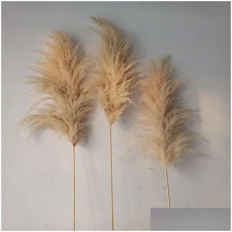 decorative wreaths 20pcs/lot wholesale phragmites natural dried decorationing pampas grass for home wedding decoration flowers bunch 5660cm 209