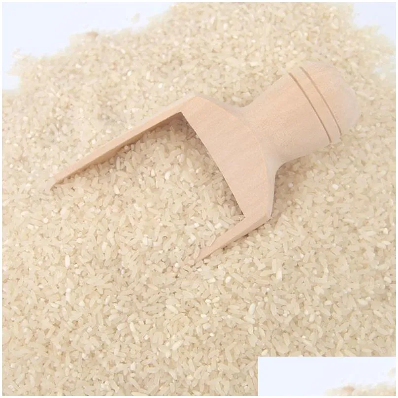 mini wooden scoops bath salt powder detergent spoon candy laundry tea coffee spoons eco friendly wood toy kitchen supplies