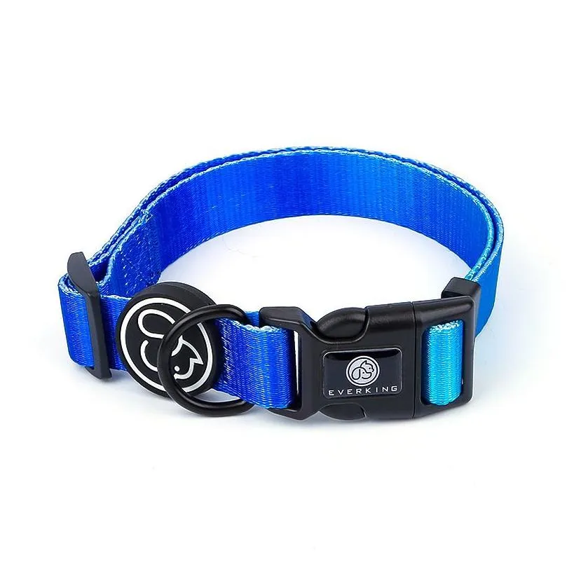 designer collar leash harness fashion gradient color pet products chain small dog medium large fitting spring summer