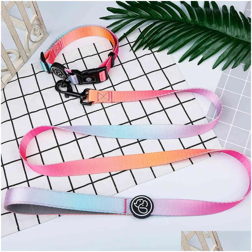 designer collar leash harness fashion gradient color pet products chain small dog medium large fitting spring summer