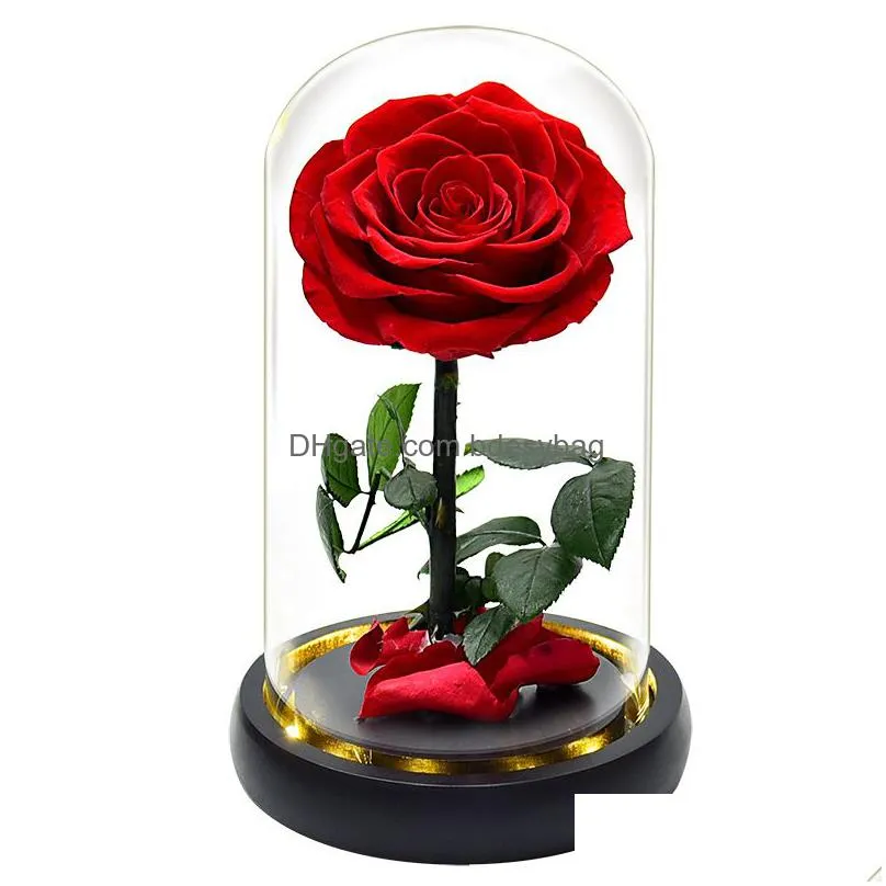 forever rose in glass dome on wood base with warm light valentines day anniversary birthday rose gift