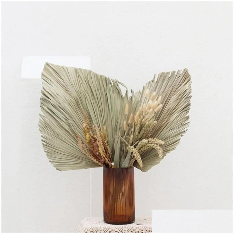 1pc palm fan leaf dried flower palm leaf window reception party art wall hanging decoration wedding arch arrangement