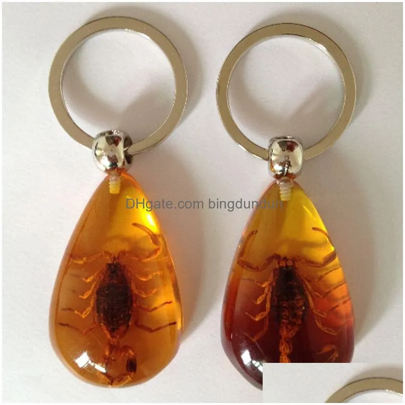 insect amber keychain car crystal insect keyring outdoor fashion key ring birthday gifts accessories for man women dh1009