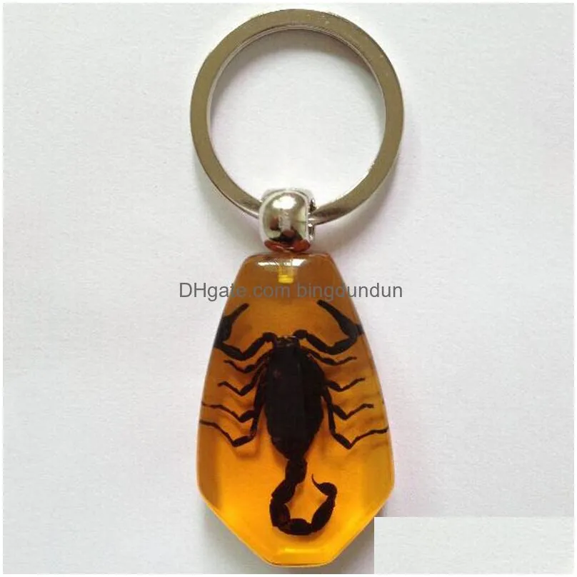 insect amber keychain car crystal insect keyring outdoor fashion key ring birthday gifts accessories for man women dh1009