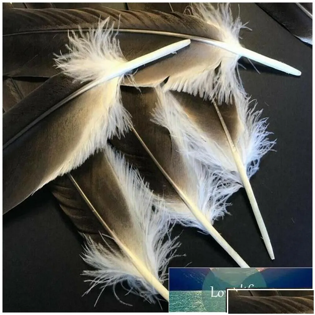 craft tools holesale 10 rare natural  feathers 30-35cm/16-18 decoration celebration performance accessories inches jewelry diy