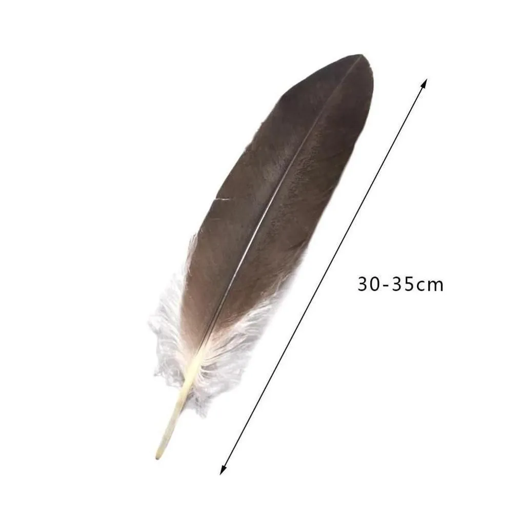 craft tools holesale 10 rare natural  feathers 30-35cm/16-18 decoration celebration performance accessories inches jewelry diy