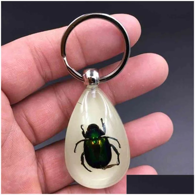 keychains fashion amber resin key ring real worm scorpion night owl gift wholesale