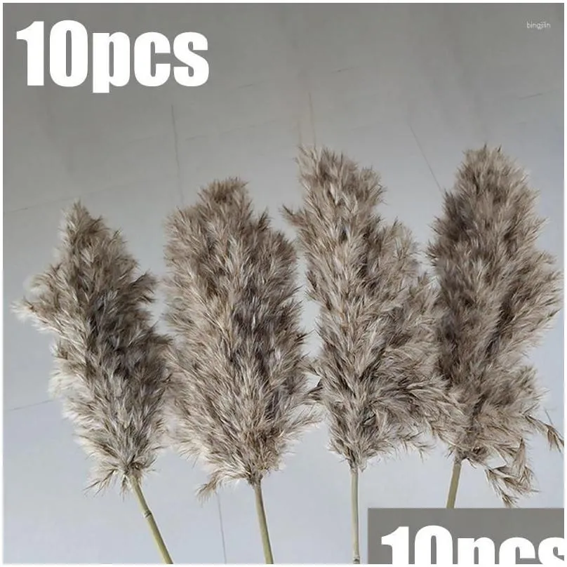 Decorative Flowers Natural Dryness Wedding Reed Bouquet Color Decorations For Home Party And Ornament YN17