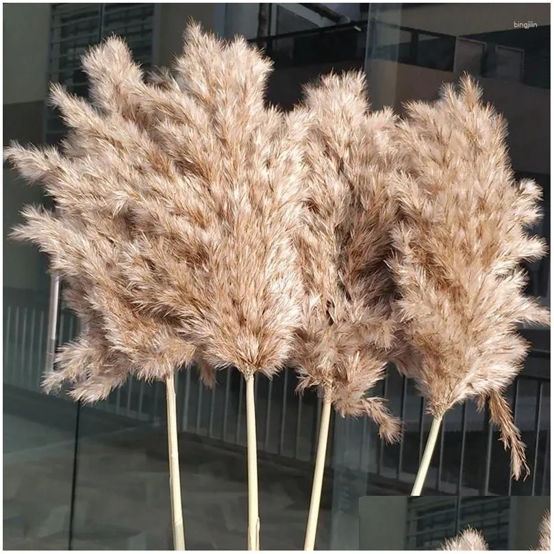 Decorative Flowers Natural Dryness Wedding Reed Bouquet Color Decorations For Home Party And Ornament YN17