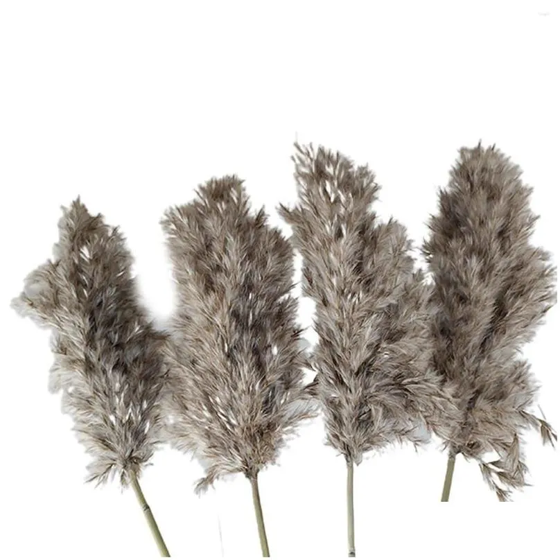 Decorative Flowers Natural Dryness Wedding Reed Bouquet Color Decorations For Home Party And Ornament YN17