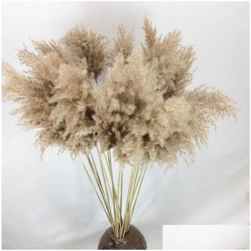 Decorative Flowers Natural Dryness Wedding Reed Bouquet Color Decorations For Home Party And Ornament YN17