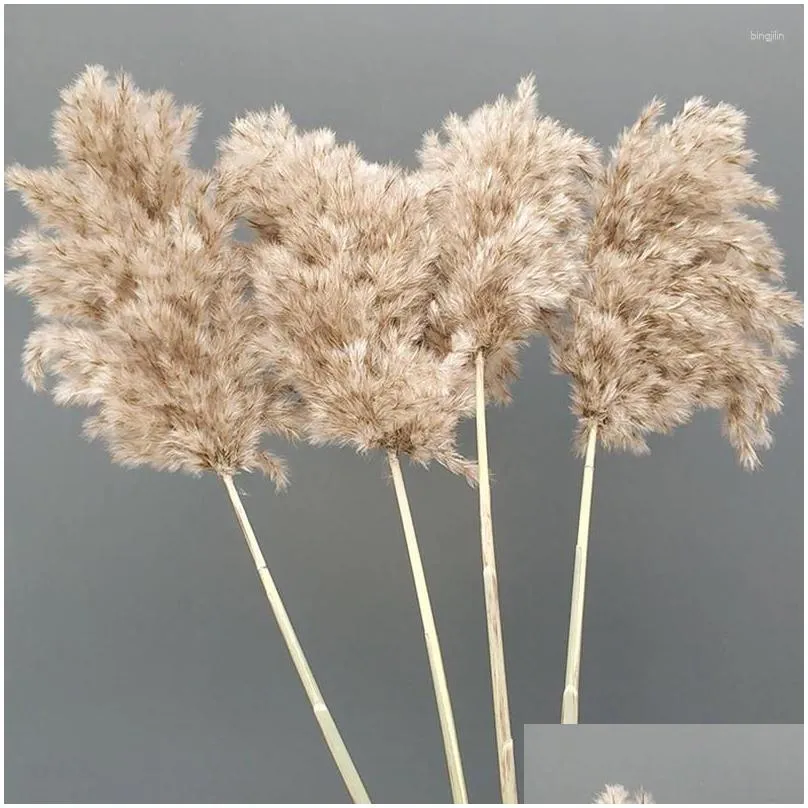 Decorative Flowers Natural Dryness Wedding Reed Bouquet Color Decorations For Home Party And Ornament YN17