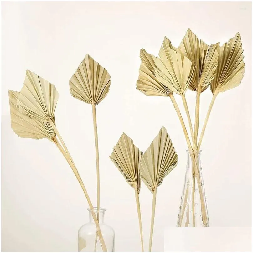 Decorative Flowers 10 Pcs Boho Dried Palm Spears Natural Fans Leaves Leaf Fan With Stem