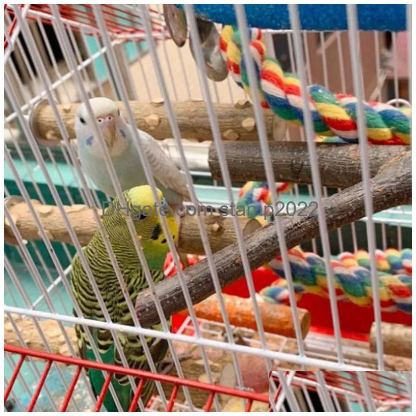 other bird supplies 4pcs parrot perch chew bite toys claw grinding prickly wood training play stand platform cage accessories 230925