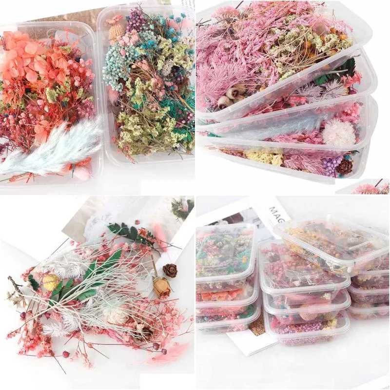 Decorative Flowers & Wreaths 1 Box Mix Beautif Real Dried Flowers Natural Floral For Art Craft Scrapbooking Resin Jewelry Making Epoxy Dh3O1