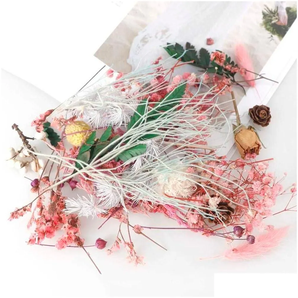 Decorative Flowers & Wreaths 1 Box Mix Beautif Real Dried Flowers Natural Floral For Art Craft Scrapbooking Resin Jewelry Making Epoxy Dh3O1