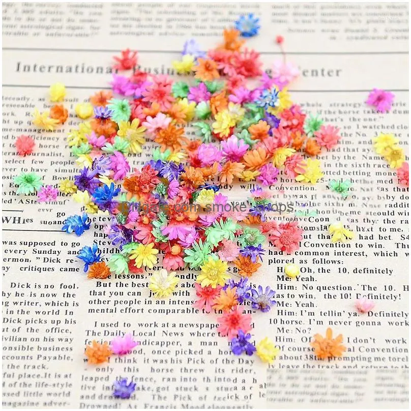 decorative flowers wholesale 50g/lot dried flower head daisy plants for epoxy resin pendant necklace jewelry making craft diy nail art