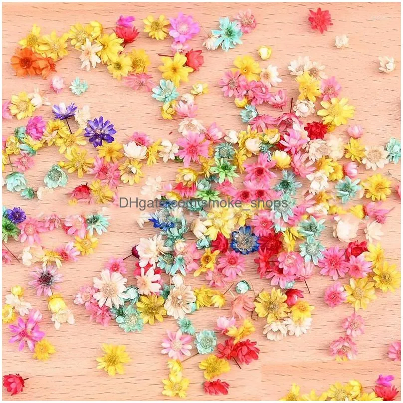 decorative flowers wholesale 50g/lot dried flower head daisy plants for epoxy resin pendant necklace jewelry making craft diy nail art