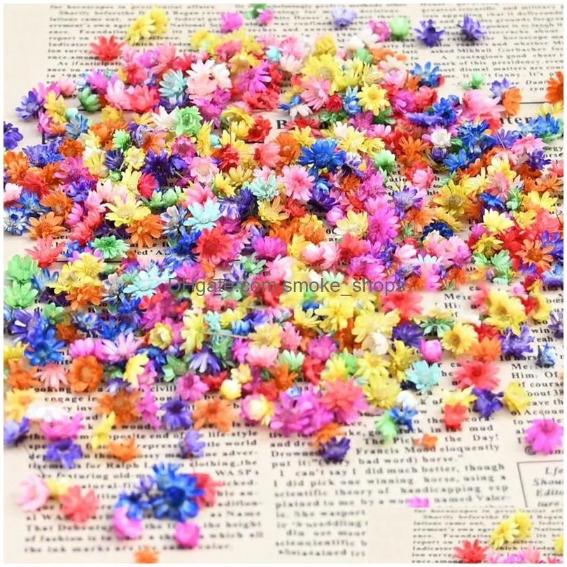decorative flowers wholesale 50g/lot dried flower head daisy plants for epoxy resin pendant necklace jewelry making craft diy nail art