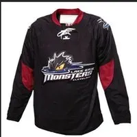 Custom Men Youth women Vintage Customize AHL Cleveland Lake Erie Monsters Hockey Jersey Size S-5XL or custom any name or number273o