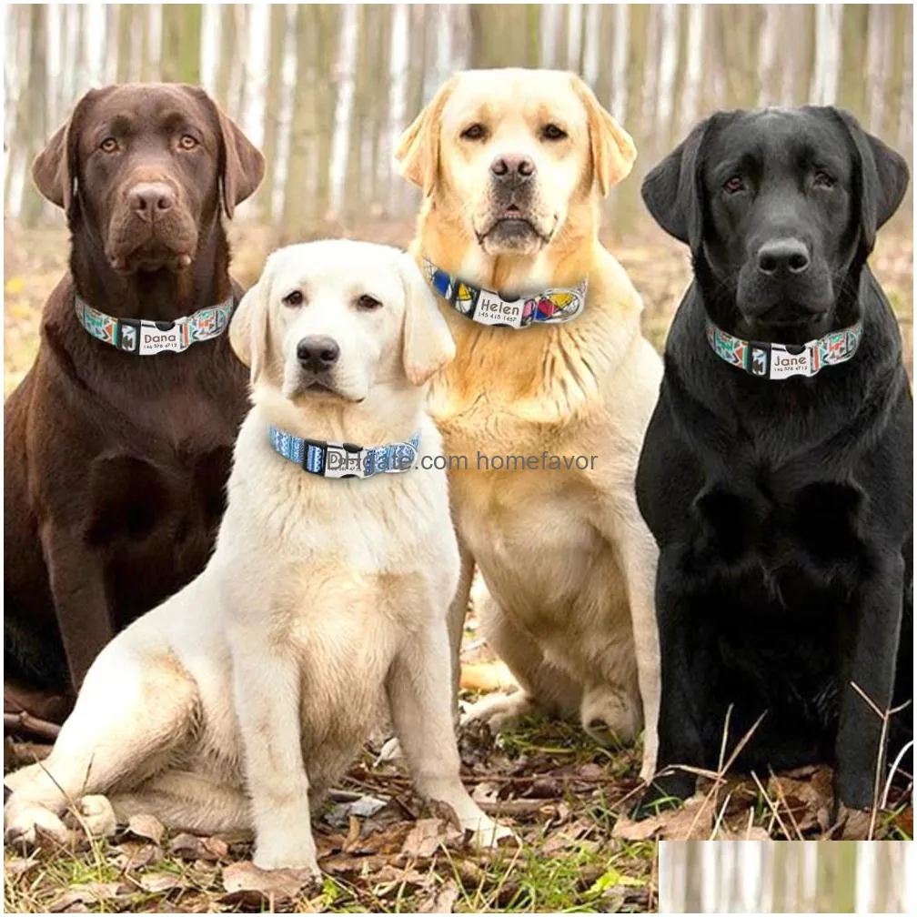dog collars leashes adjustable nylon dog collar personalized cat id engraved name buckle suitable for small medium and large dogs