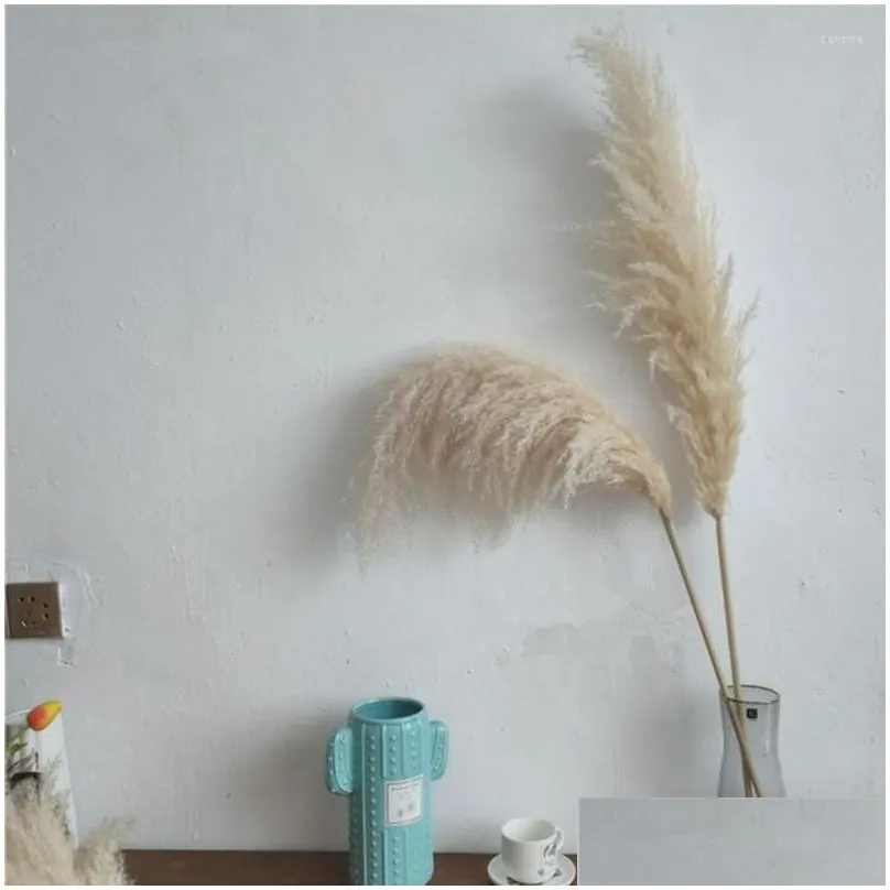 Decorative Flowers & Wreaths Decorative Flowers Natural Pampas Grass Large Size Dried Flower Bouquet Home Decor Tall Fluffy Stems Livi Dhgtg