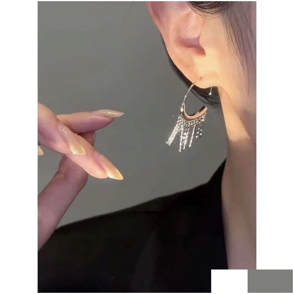 sier tassel hemline long curved style earrings female niche design high-end light earrings