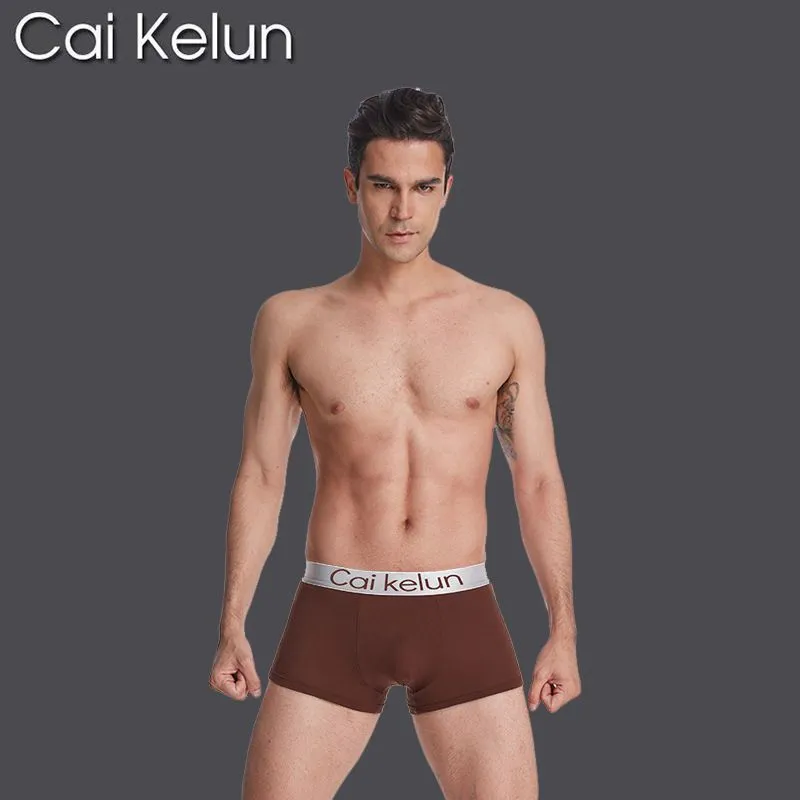 Underpants 3/4/5Pcs/Lot Sexy Men Underwear Cotton Gay Boxer Shorts Boxers Mens Cueca Para Hombre