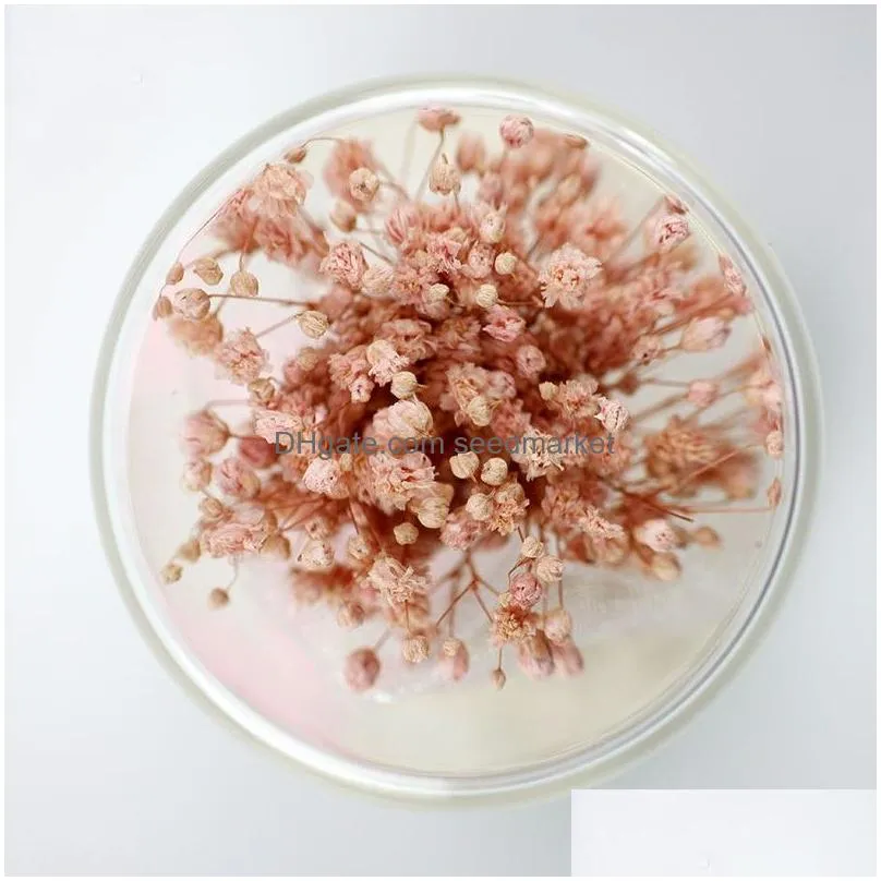 gypsophila flowers in glass dome dried gypsophila preserved eternal flower for birthday valentines day gift 9 colors