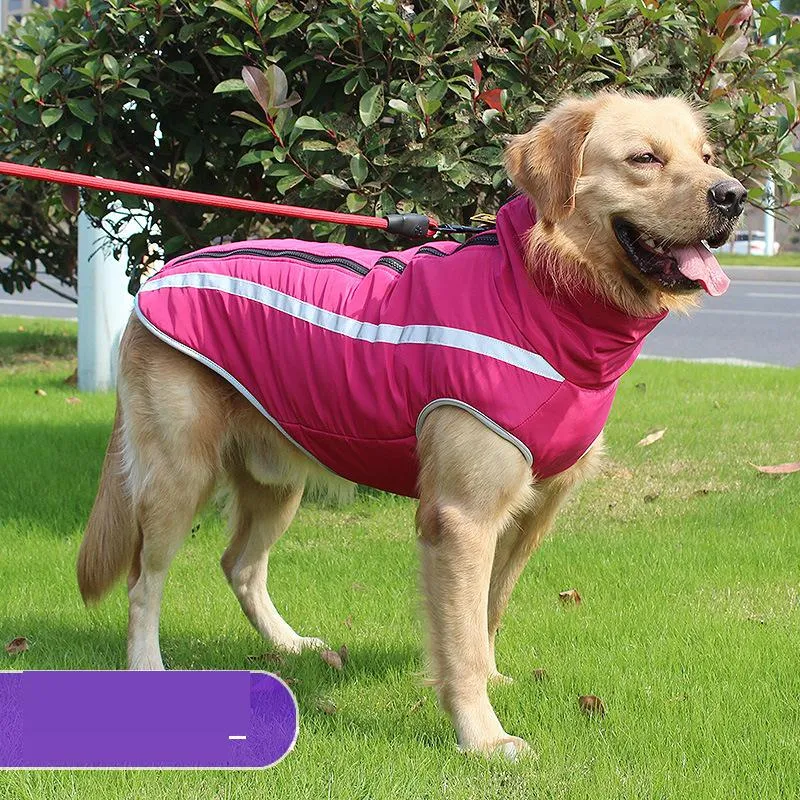 autumn and winter pet dog clothes thick padded dog coat outdoor big dog hardshell pet supplies