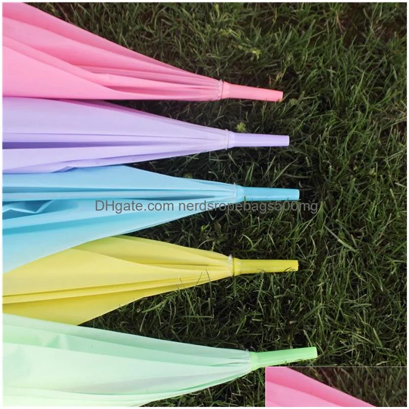 candy color umbrella long handle frosted umbrella pvc automatic 8 bone pvc umbrellas pink green yellow solid color umbrellas