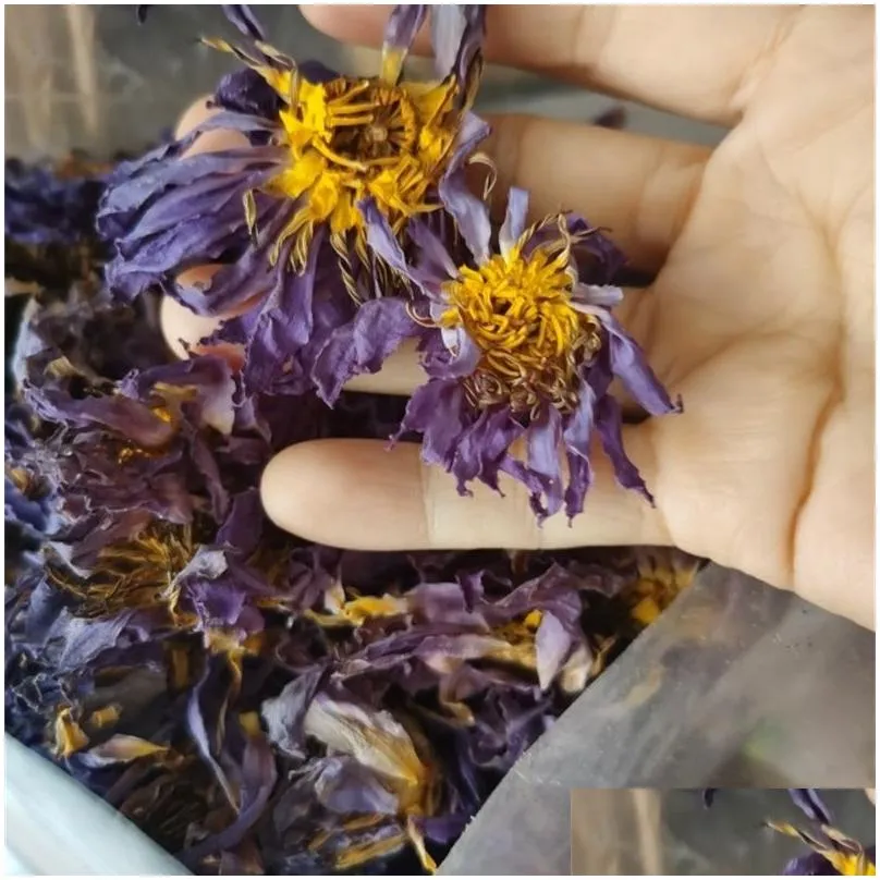 blue lotus dried whole flower nymphaea caerulea 210317