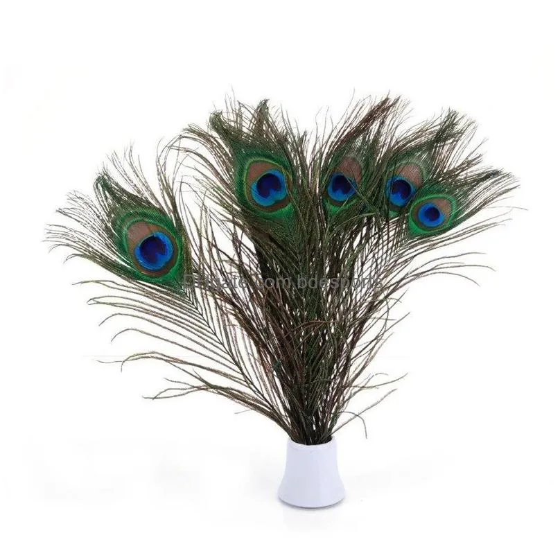 25-30 cm peacock feathers natural peacock feather diy jewelry decorative elegant decorative materials 200 pcs/lot