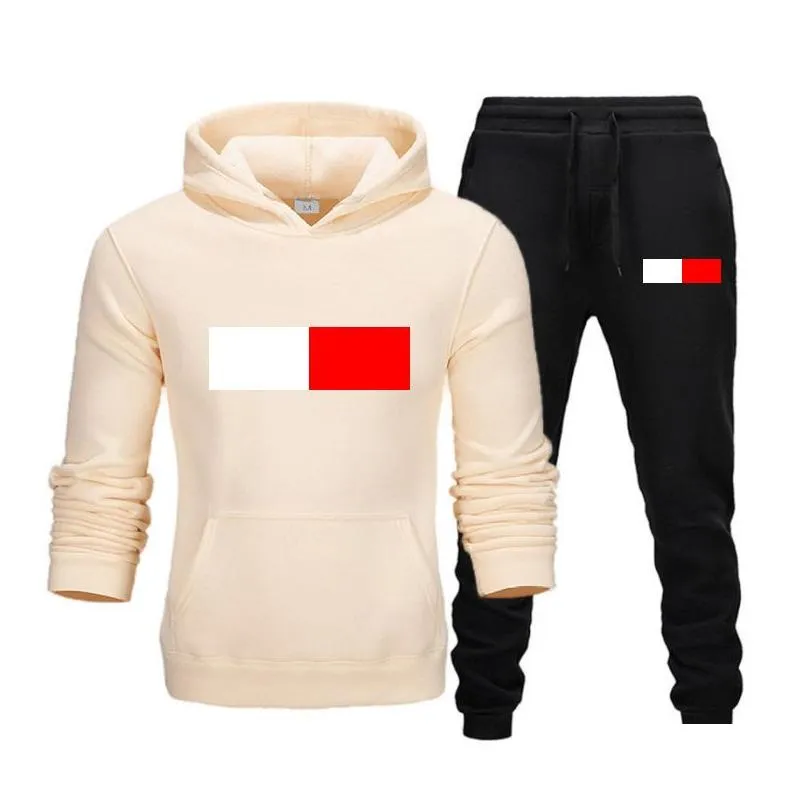 2023 mens tracksuit luxury 2 piece set casual hoodies sweatshirt sweatpants suit teens sports print jogging s-3xl clothing printed sportswear
