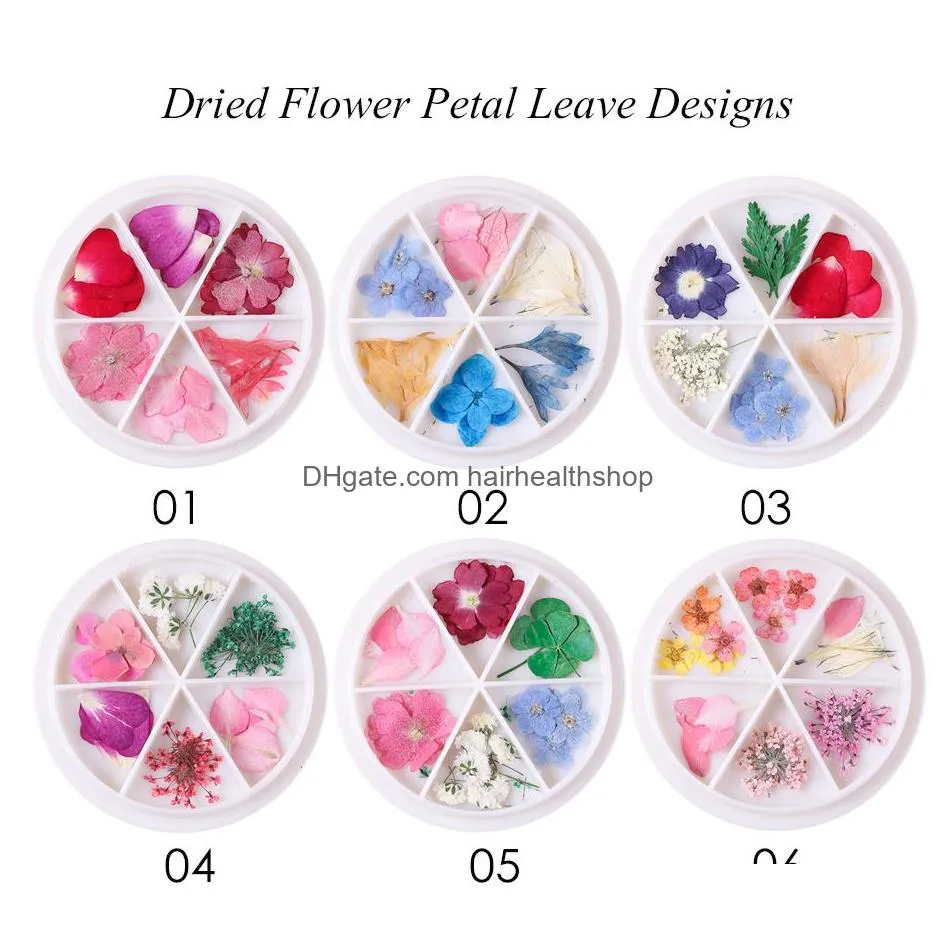 3d dried petal nails decoration in wheel ultrathin natural flower leaves pendant real preserved sticker accessories tips
