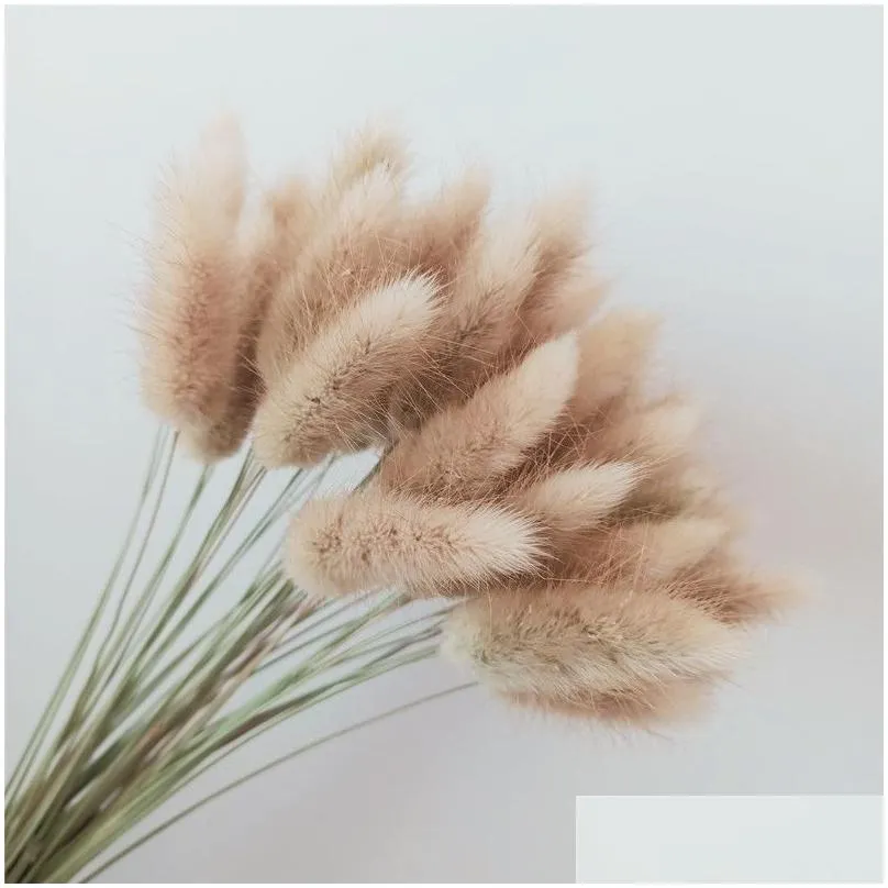 100 stems dried flower bunny tail natural plants floral rabbit grass bouquet home decoration z1120