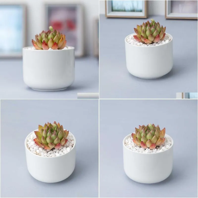 planters pots simple white flower pot creativity gardening porcelain table top with round feet straight body potted flowerpot indoor decor