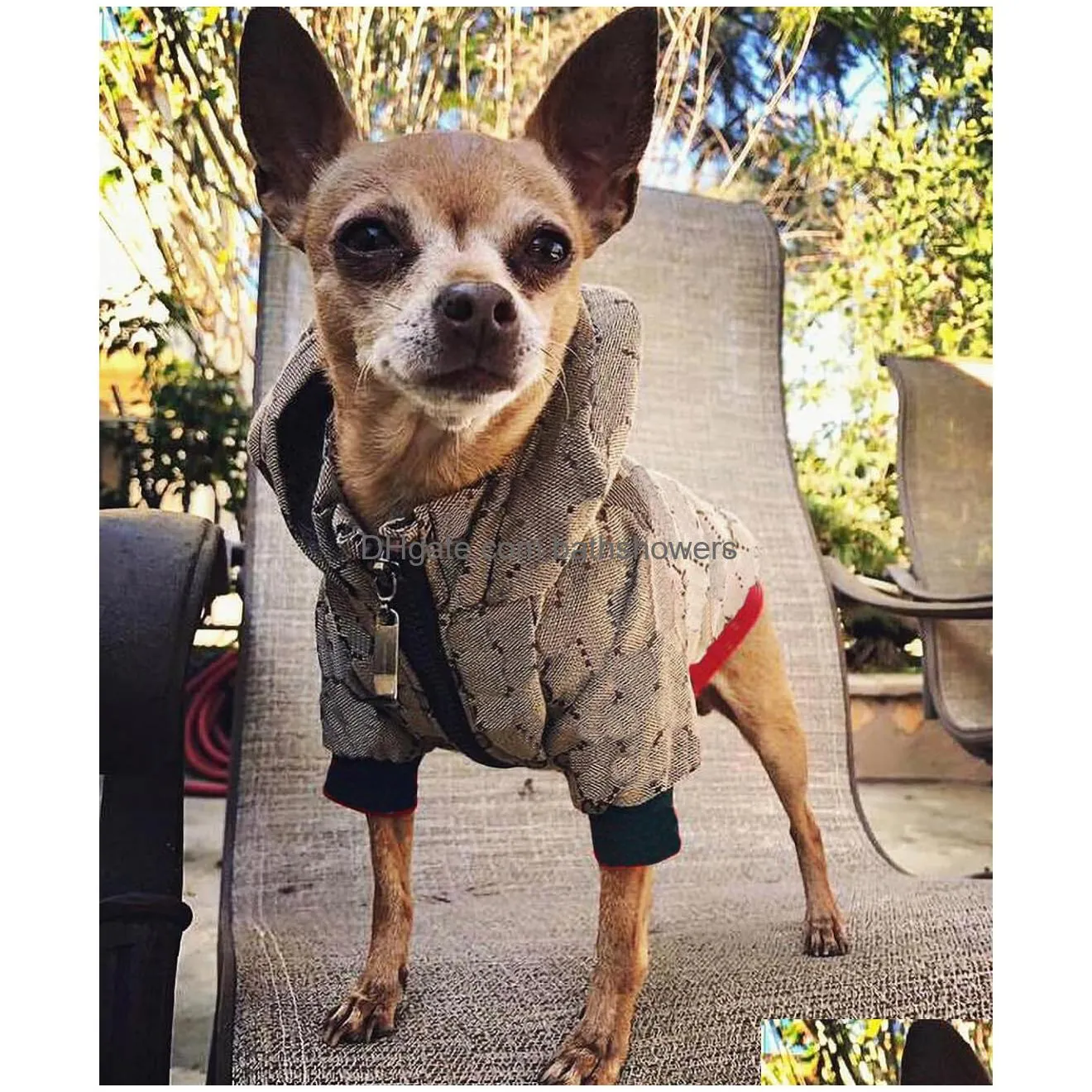 Luxury Winter Dog Kids Jackets For Small Breeds French Bldog Coat For Husky And Chihuahua Fashionable Pet Clothing With Drop Delivery DH405 From Backpackboyzhome 10.01 DHgate.Com