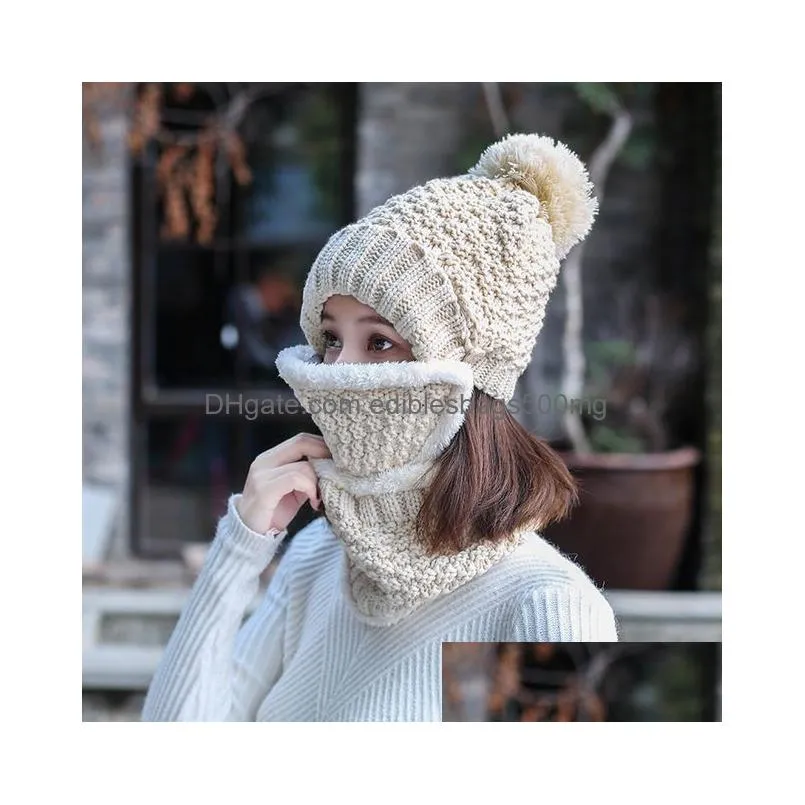 wholesale women winter warmer three-piece set hat mask and scarf set winter knitted plus velvet warm mask hat and scarf set dh0506 t03