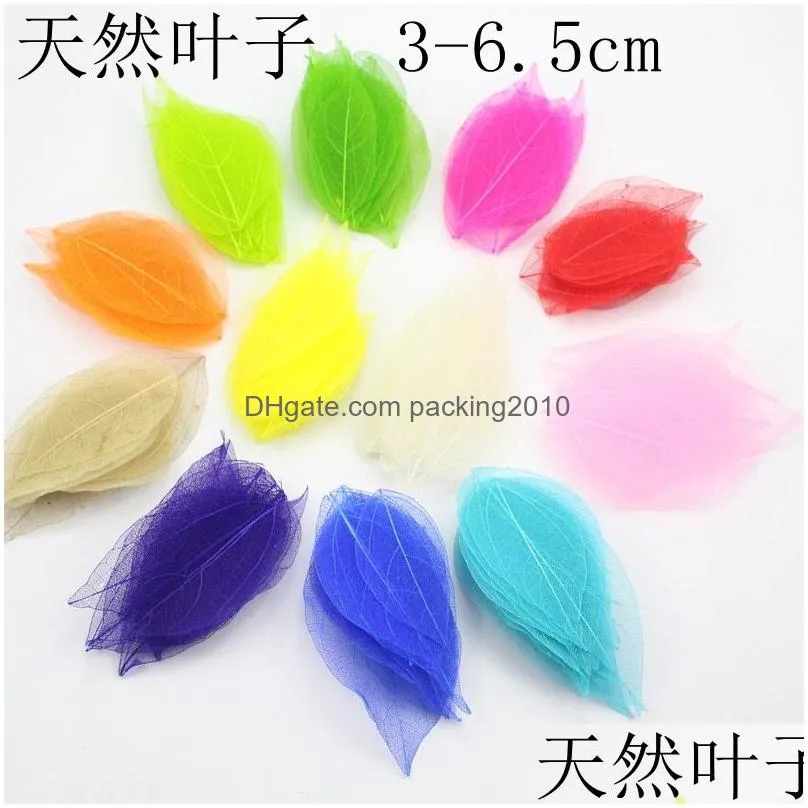 20pcs/bag multi-color decorative flowers natural skeleton leaf dry leaves scrapbooking girl diy material 20220512 q2