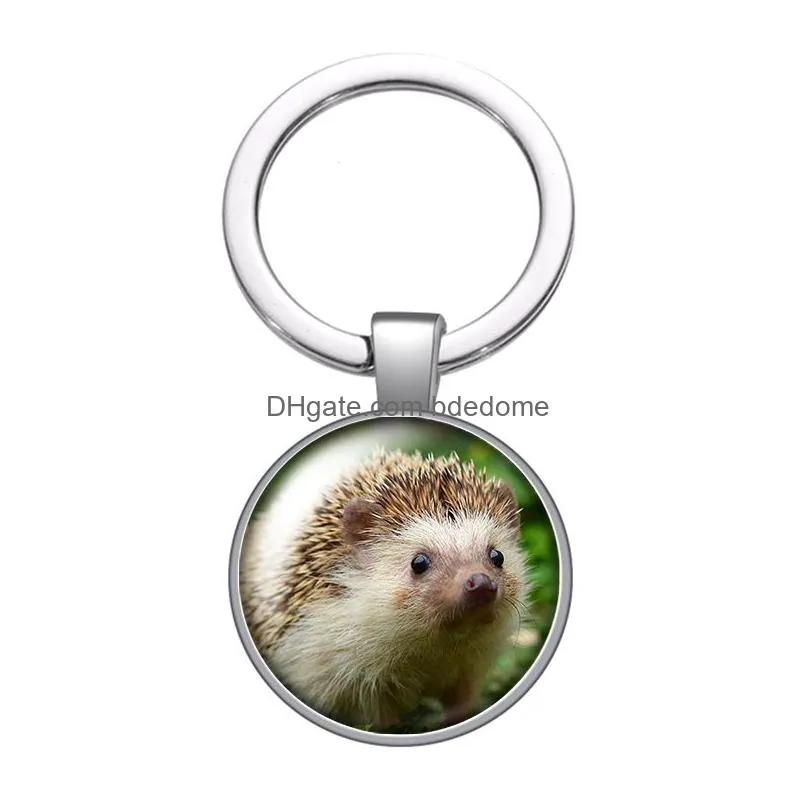 love animals horse hedgehog pig glass cabochon keychain bag car key chain ring holder silver color keychains men women gifts