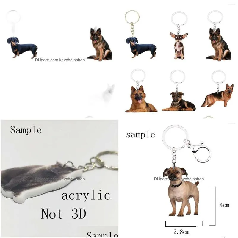 keychains dog charms keychain 6pcs/set animal not 3d llaveros cute for friends boyfriend gift car key on the backpack purse anime