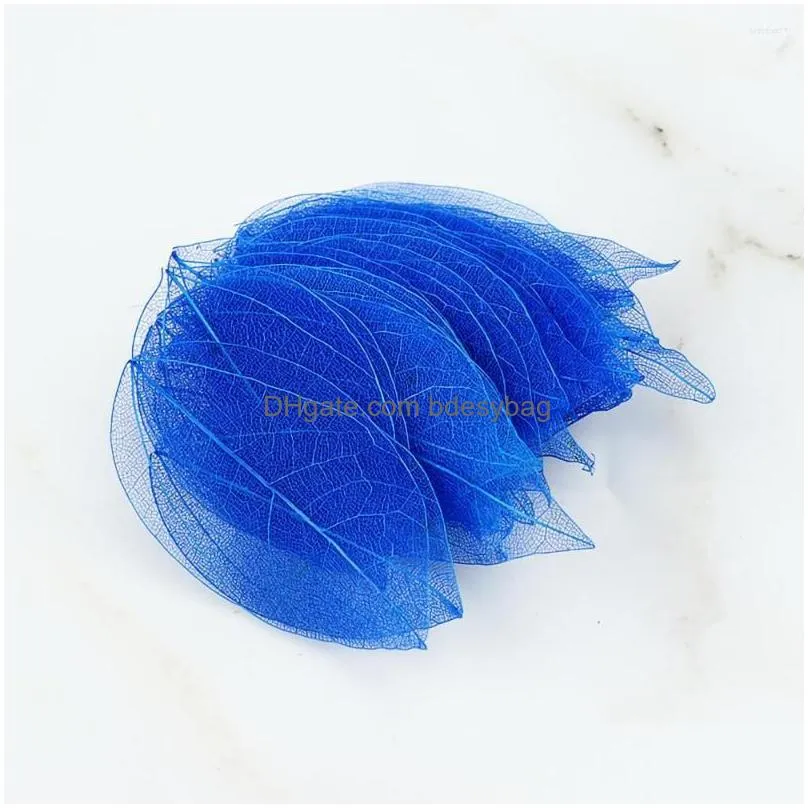 decorative flowers 20pcs natural reticulated leaf vein specimen color mesh handmade diy material special dry flower