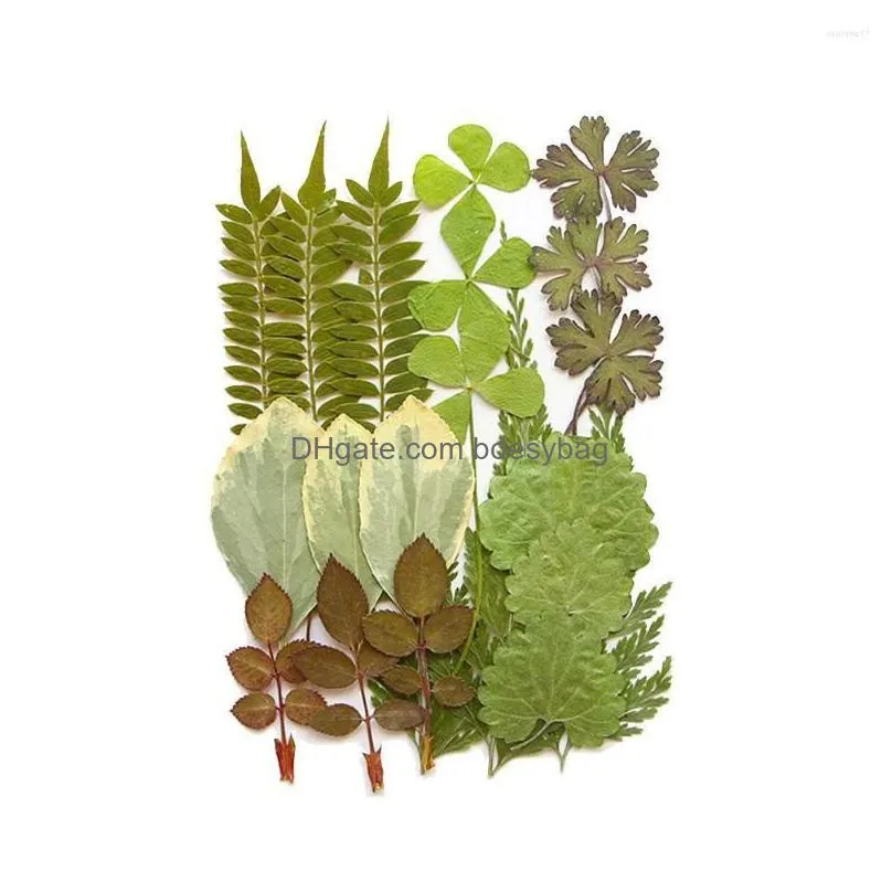 Decorative Flowers & Wreaths Decorative Flowers Natural Dried Leaves Green Plants Diy Crystal Epoxy Resin For Jewellery Handicraft Mat Dh4Ba